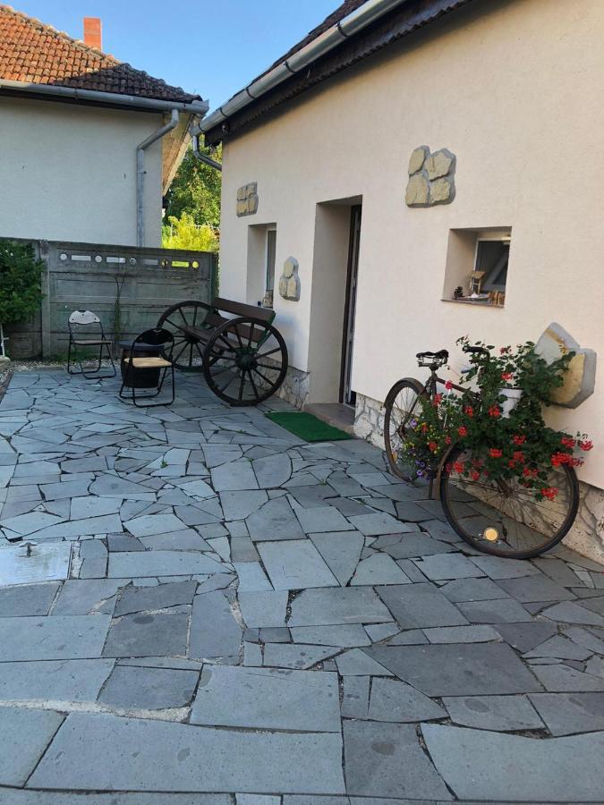 Casa Cezara Daire Silvasu de Jos Dış mekan fotoğraf