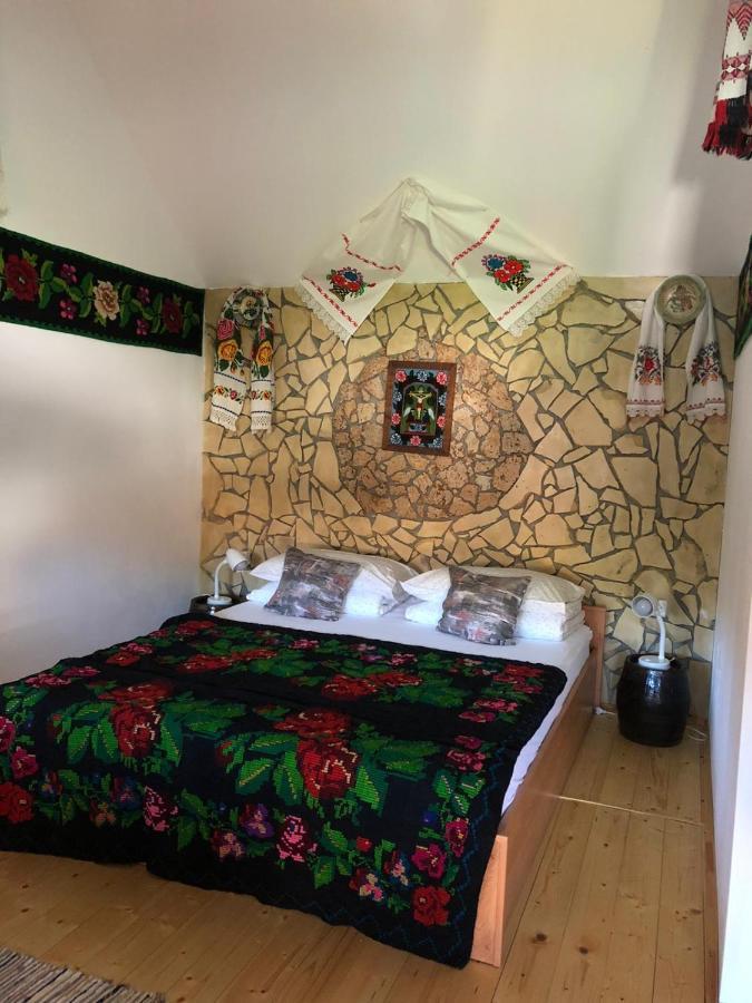 Casa Cezara Daire Silvasu de Jos Dış mekan fotoğraf