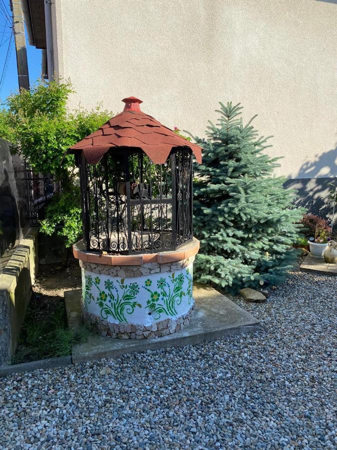 Casa Cezara Daire Silvasu de Jos Dış mekan fotoğraf