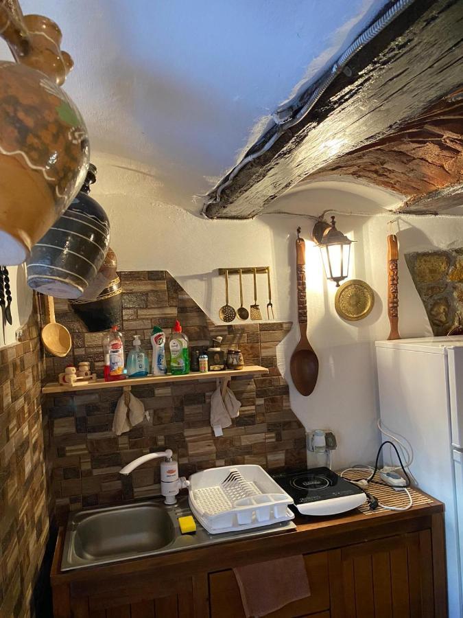 Casa Cezara Daire Silvasu de Jos Dış mekan fotoğraf