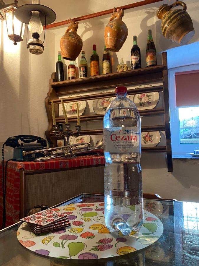 Casa Cezara Daire Silvasu de Jos Dış mekan fotoğraf