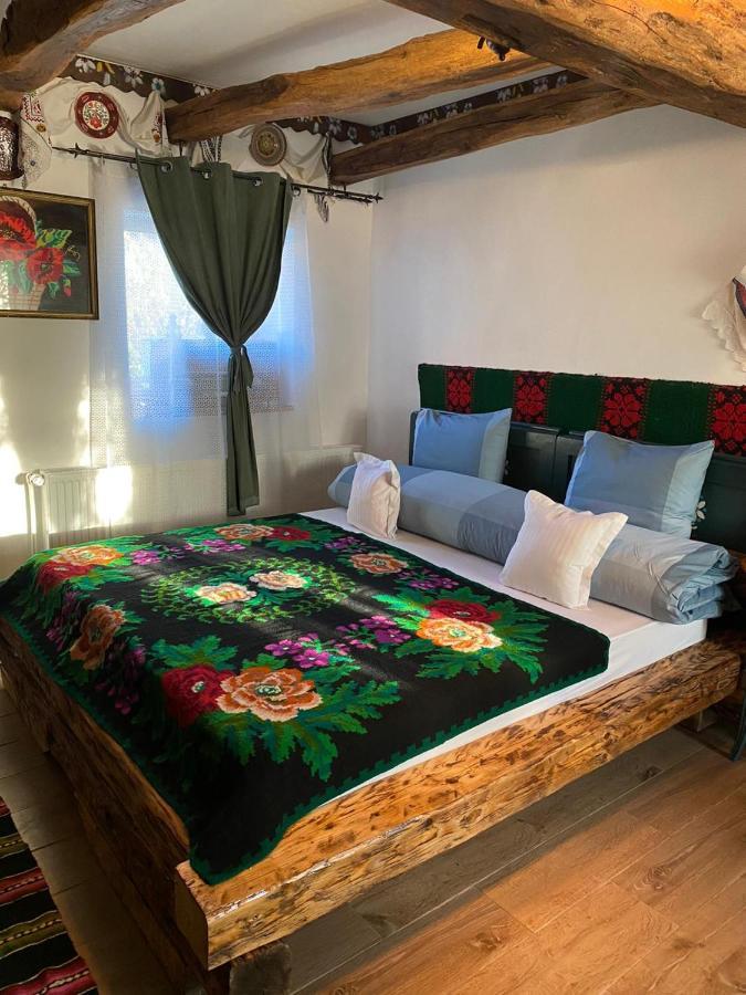 Casa Cezara Daire Silvasu de Jos Dış mekan fotoğraf