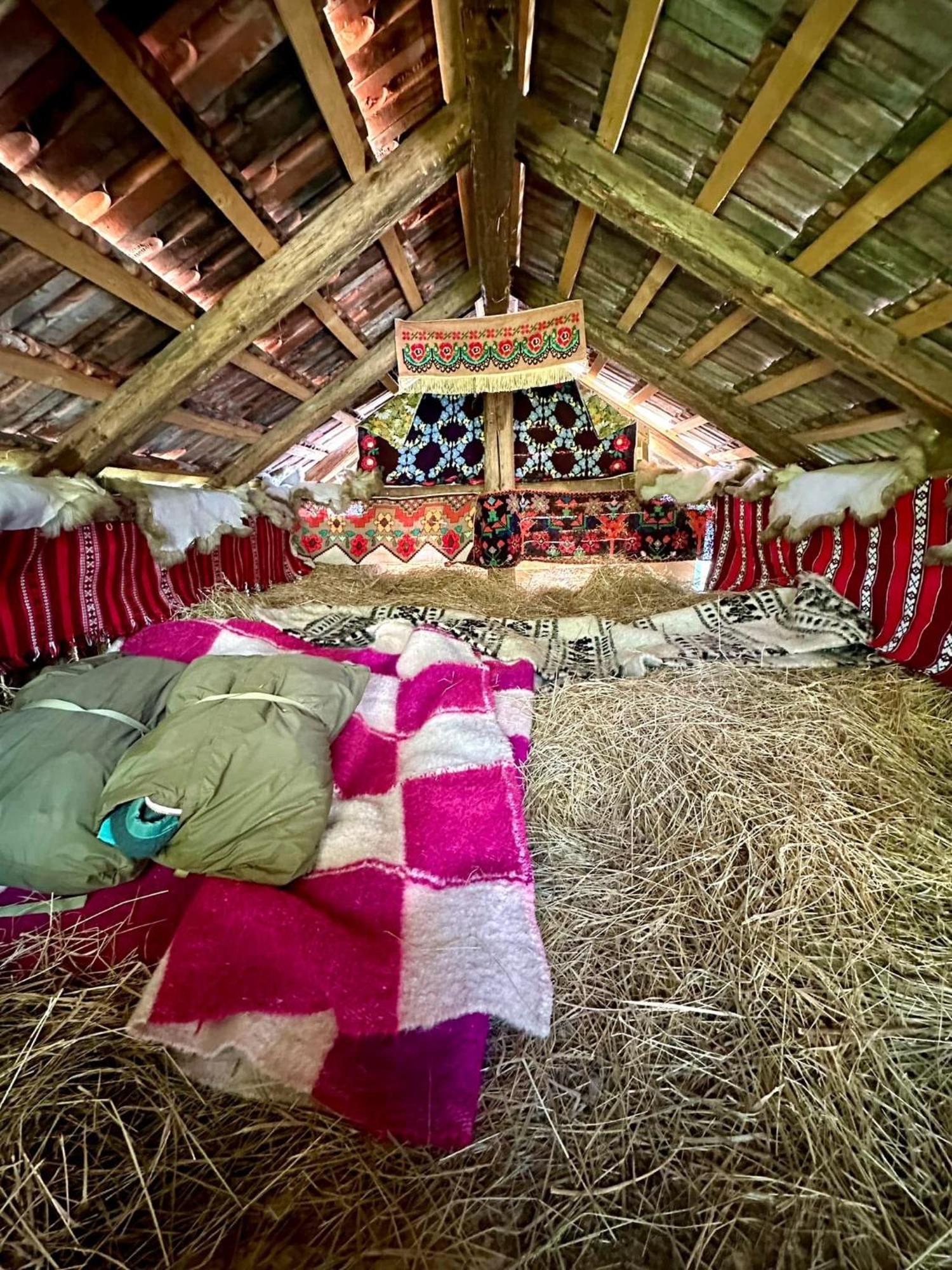 Casa Cezara Daire Silvasu de Jos Dış mekan fotoğraf