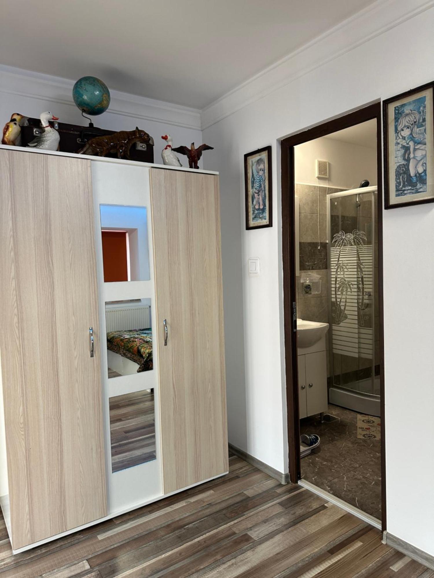 Casa Cezara Daire Silvasu de Jos Dış mekan fotoğraf
