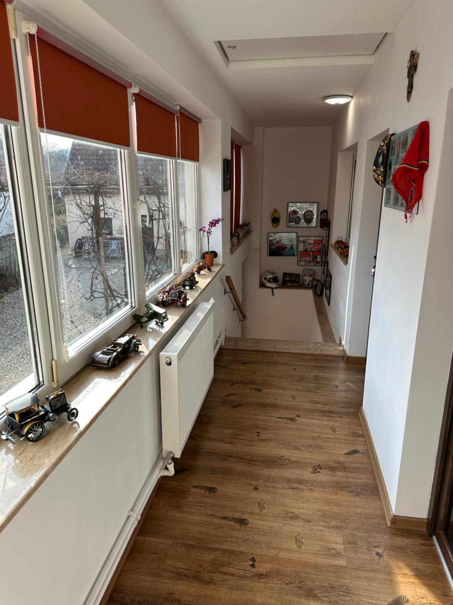 Casa Cezara Daire Silvasu de Jos Dış mekan fotoğraf
