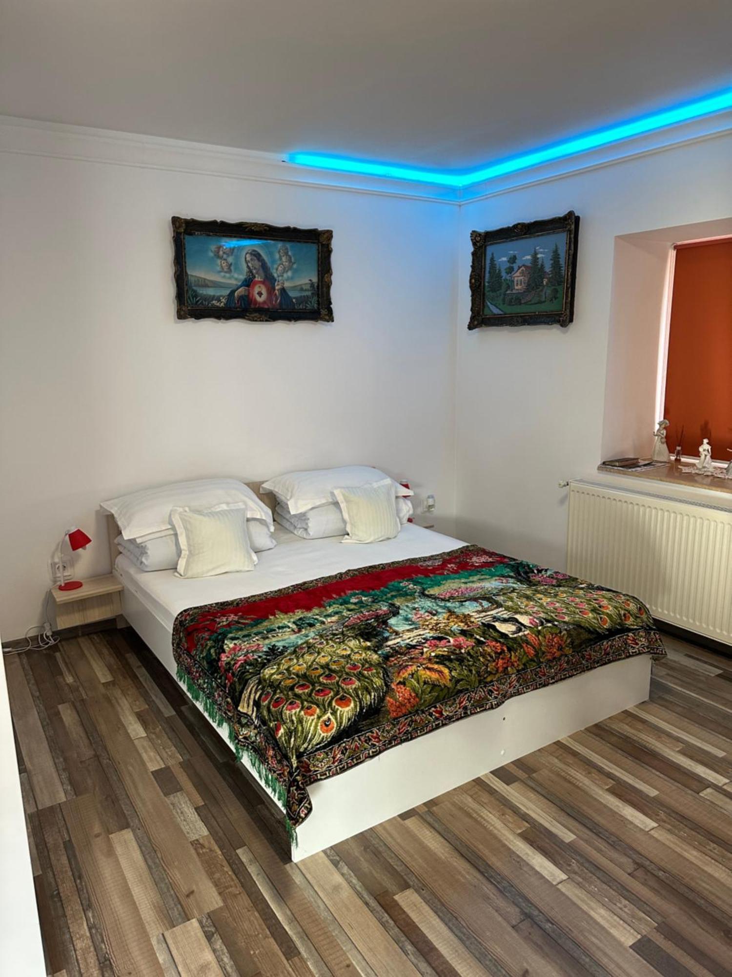 Casa Cezara Daire Silvasu de Jos Dış mekan fotoğraf